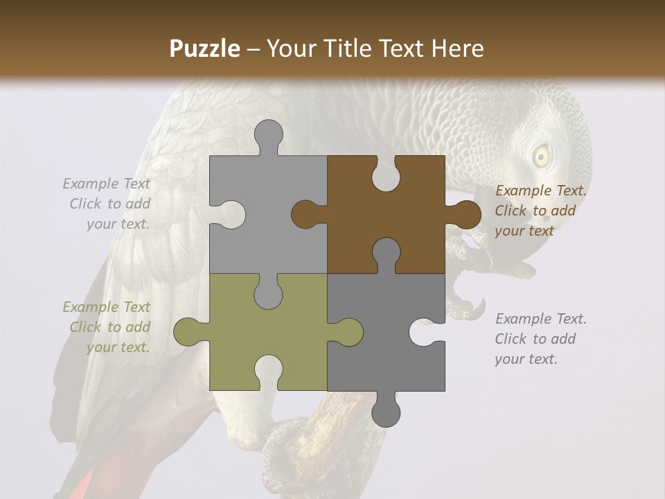 Fluff Mimic Nature PowerPoint Template