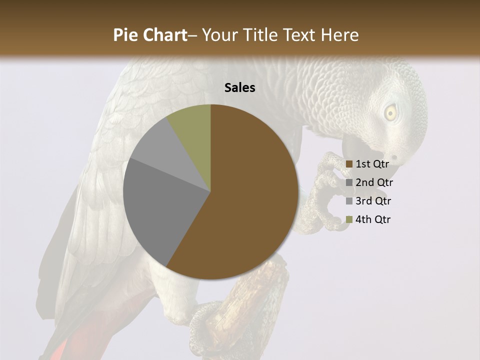 Fluff Mimic Nature PowerPoint Template