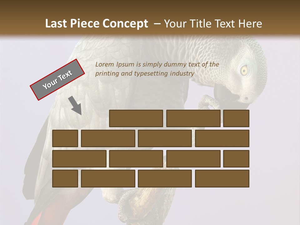 Fluff Mimic Nature PowerPoint Template