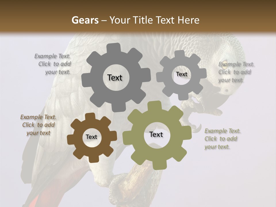 Fluff Mimic Nature PowerPoint Template