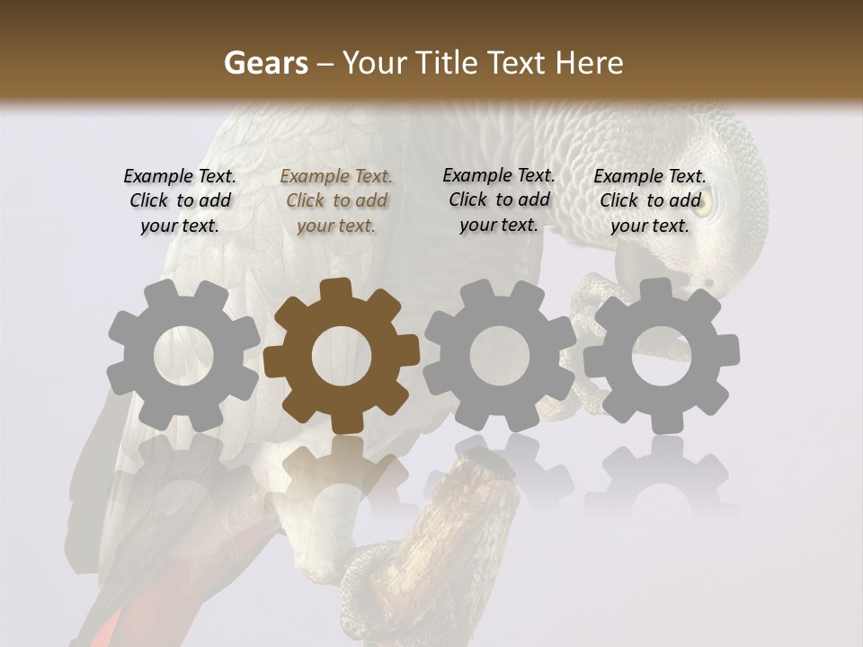 Fluff Mimic Nature PowerPoint Template