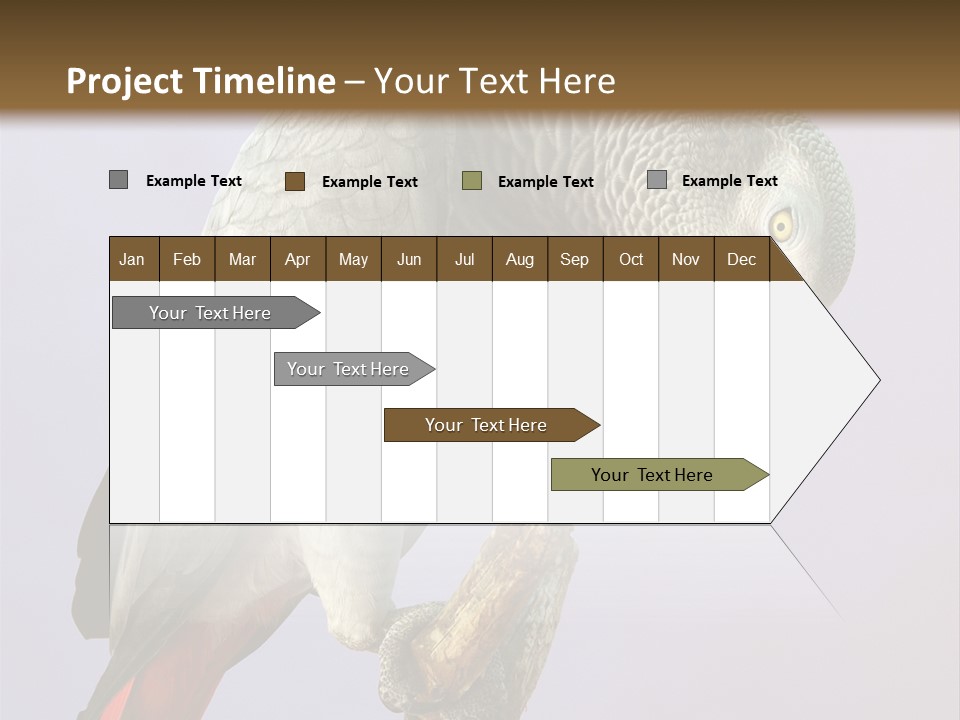 Fluff Mimic Nature PowerPoint Template
