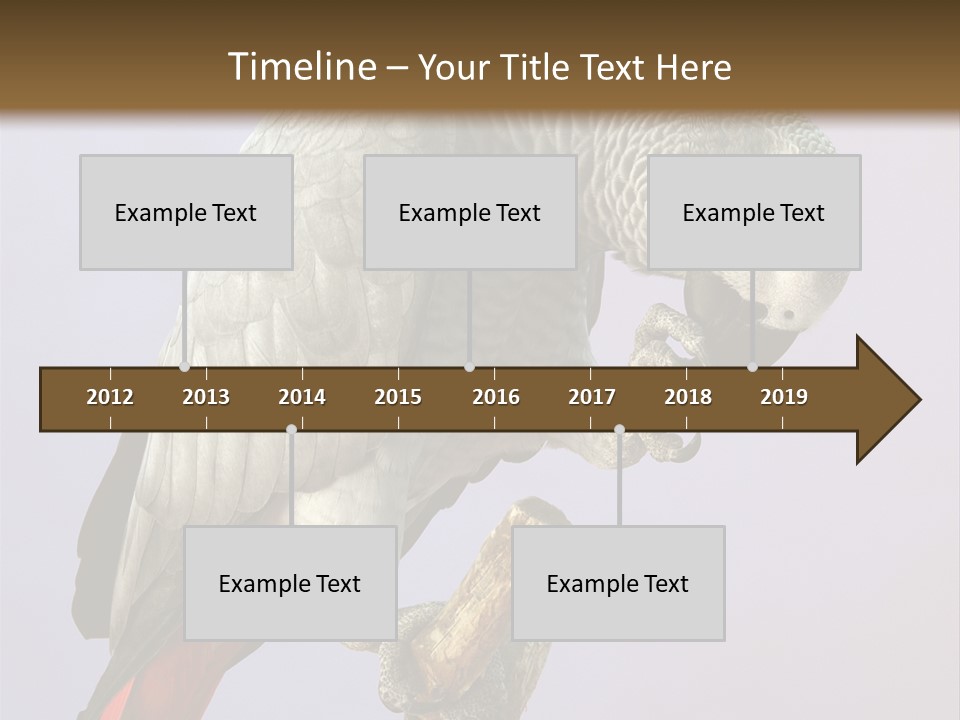 Fluff Mimic Nature PowerPoint Template