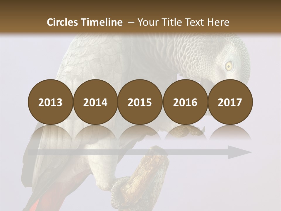 Fluff Mimic Nature PowerPoint Template