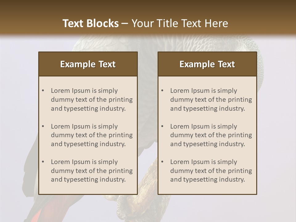 Fluff Mimic Nature PowerPoint Template