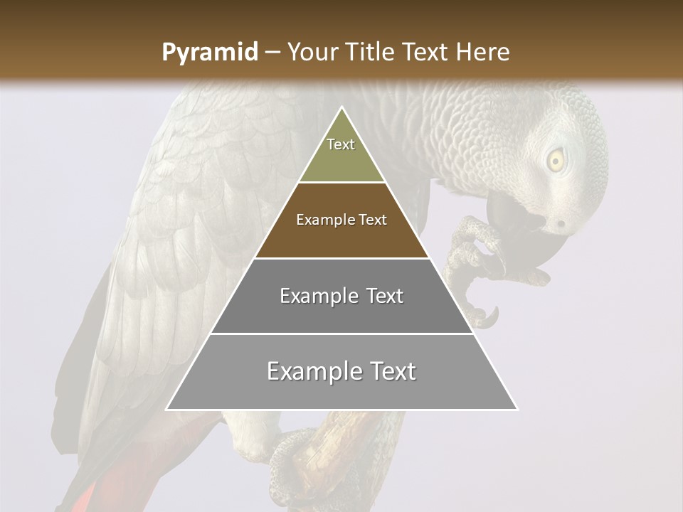 Fluff Mimic Nature PowerPoint Template