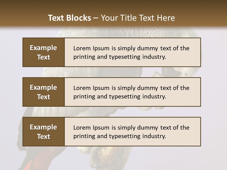 Fluff Mimic Nature PowerPoint Template