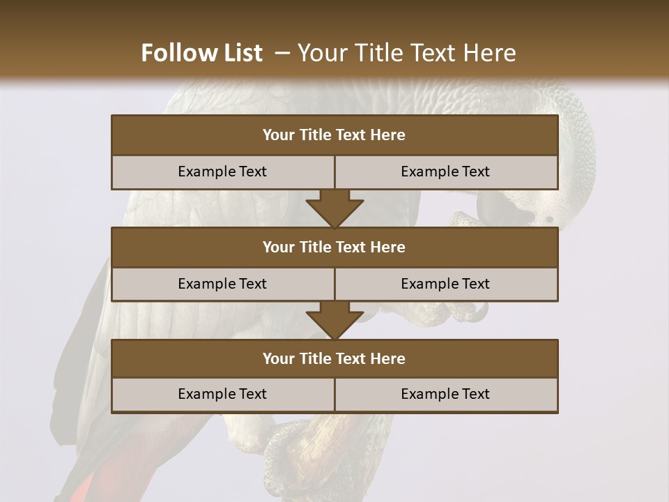 Fluff Mimic Nature PowerPoint Template