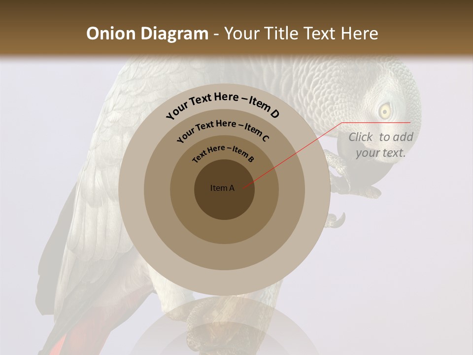 Fluff Mimic Nature PowerPoint Template