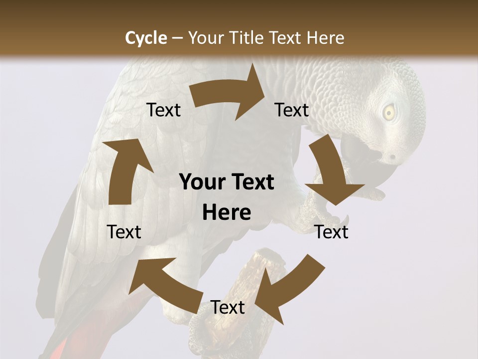 Fluff Mimic Nature PowerPoint Template