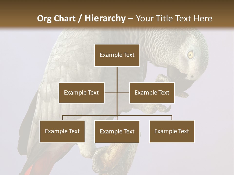Fluff Mimic Nature PowerPoint Template