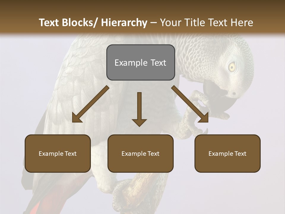 Fluff Mimic Nature PowerPoint Template