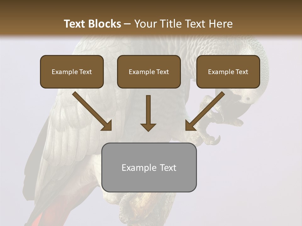 Fluff Mimic Nature PowerPoint Template