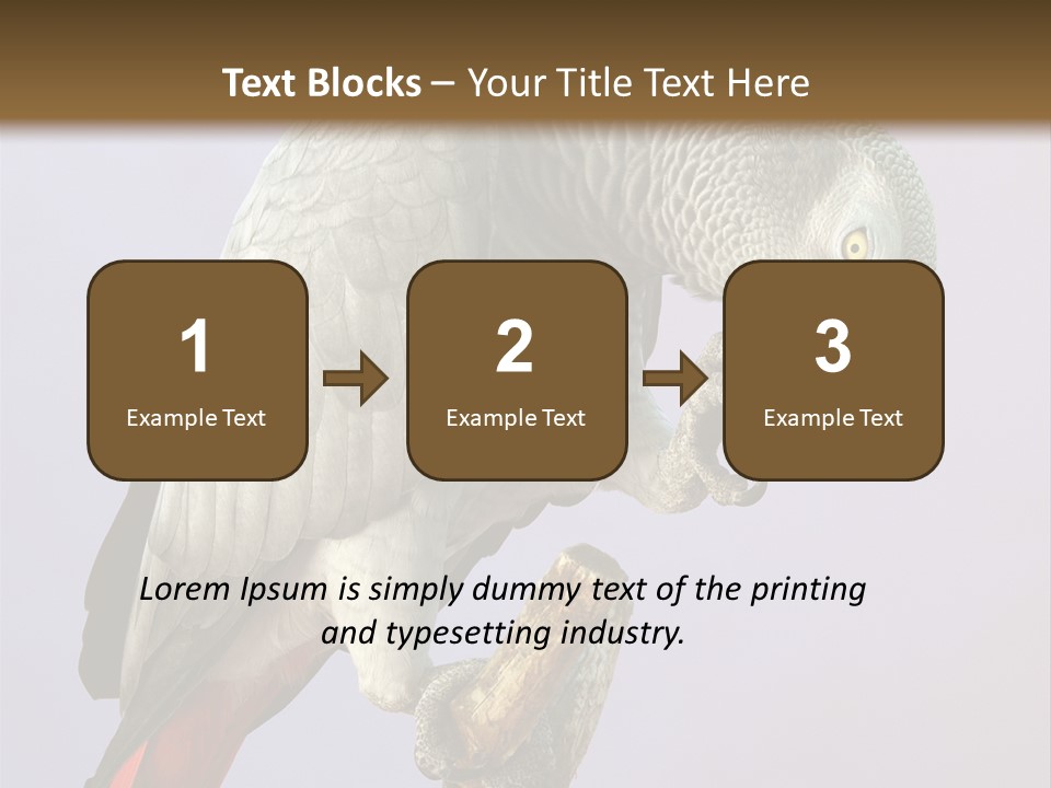 Fluff Mimic Nature PowerPoint Template