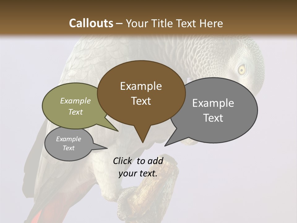 Fluff Mimic Nature PowerPoint Template