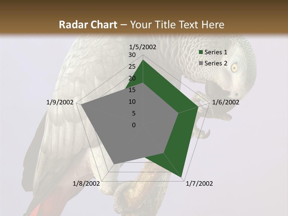 Fluff Mimic Nature PowerPoint Template