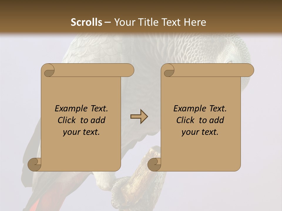 Fluff Mimic Nature PowerPoint Template