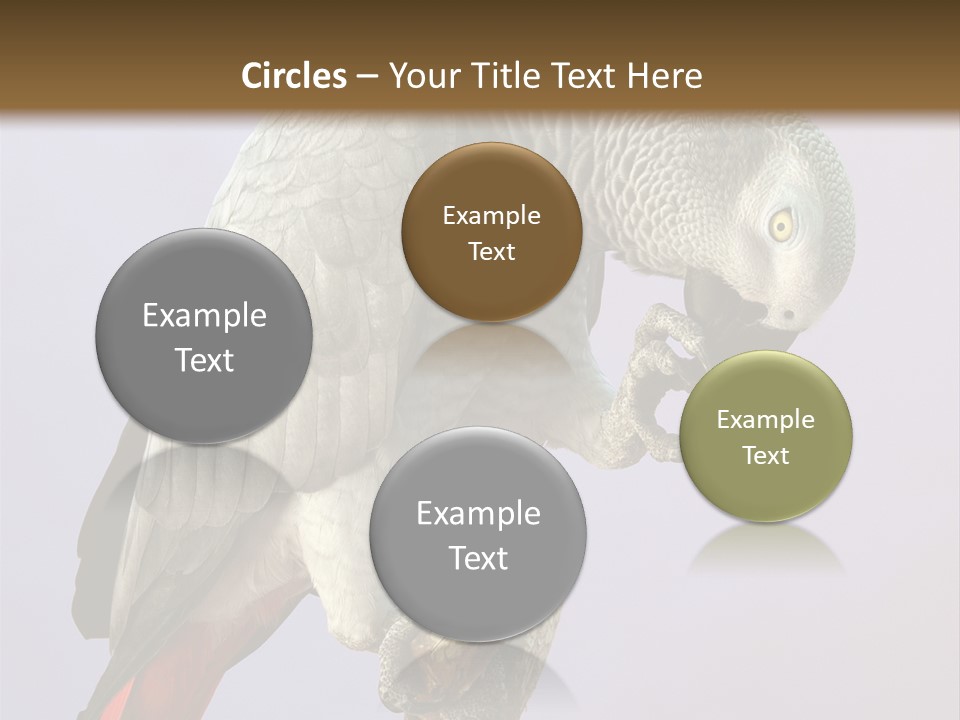 Fluff Mimic Nature PowerPoint Template