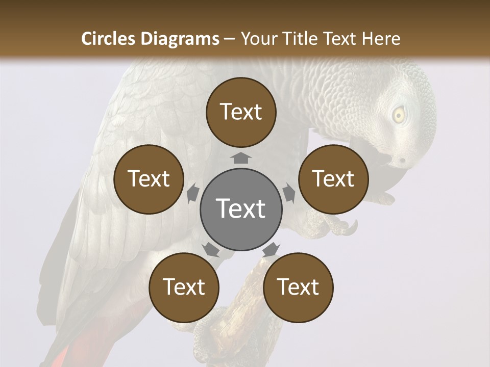 Fluff Mimic Nature PowerPoint Template