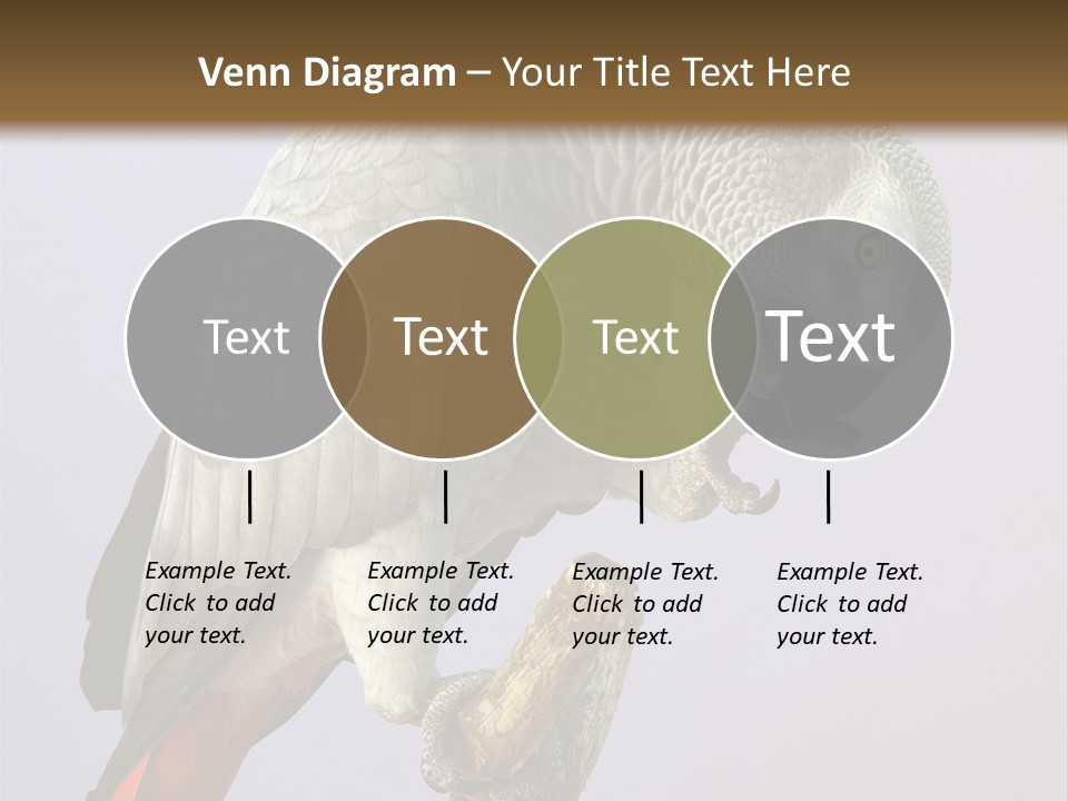 Fluff Mimic Nature PowerPoint Template