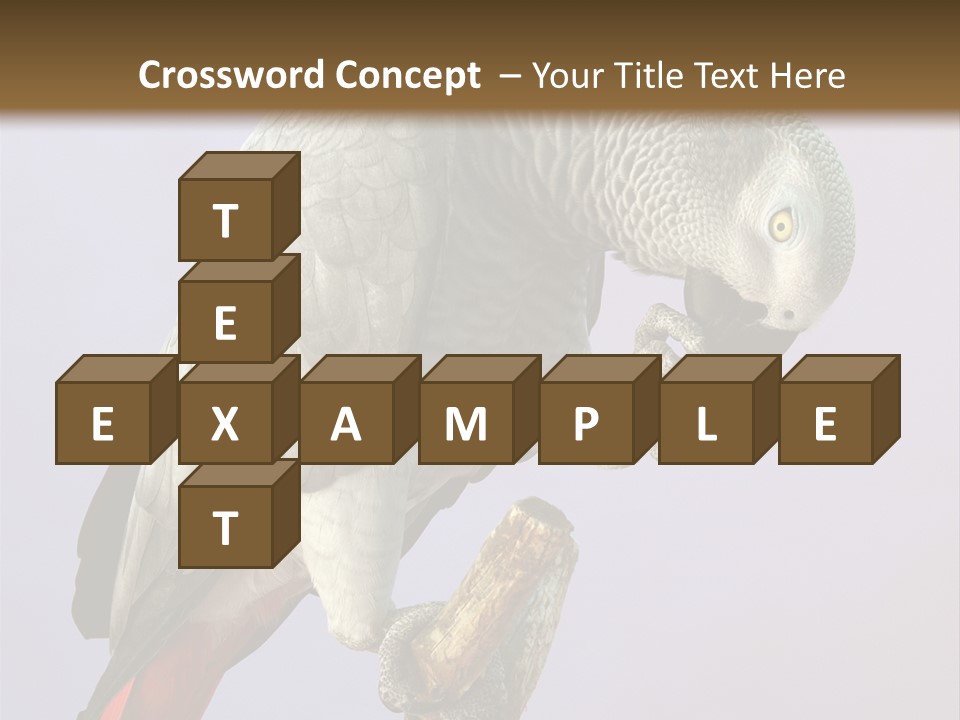 Fluff Mimic Nature PowerPoint Template