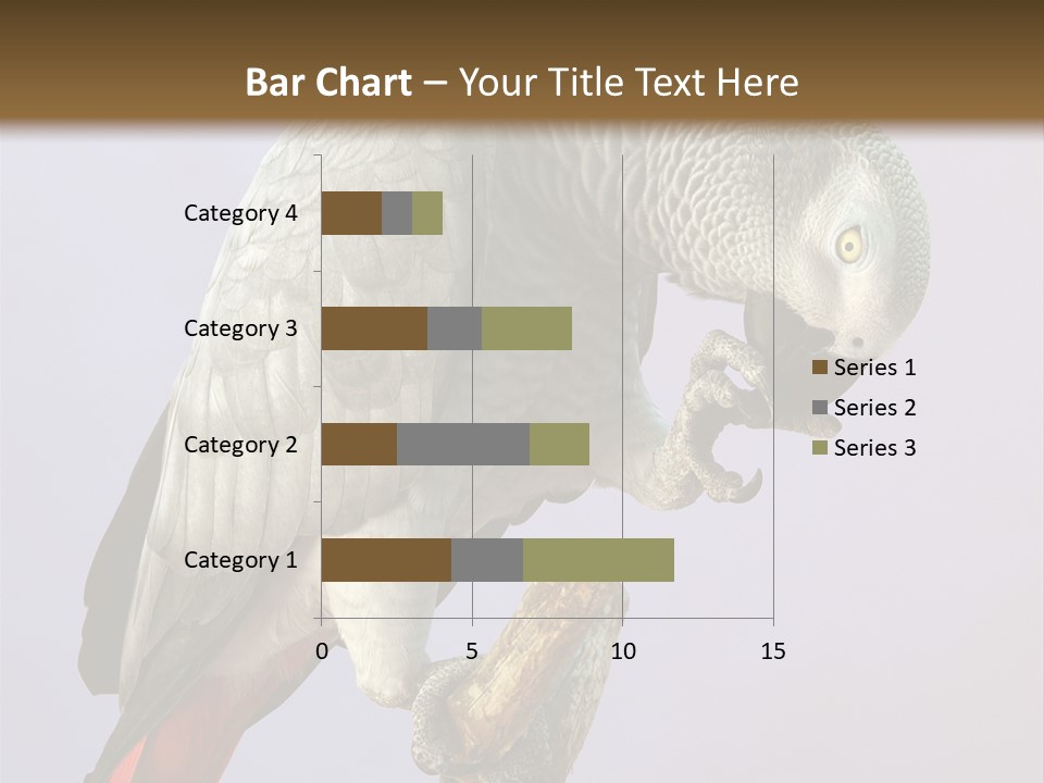 Fluff Mimic Nature PowerPoint Template