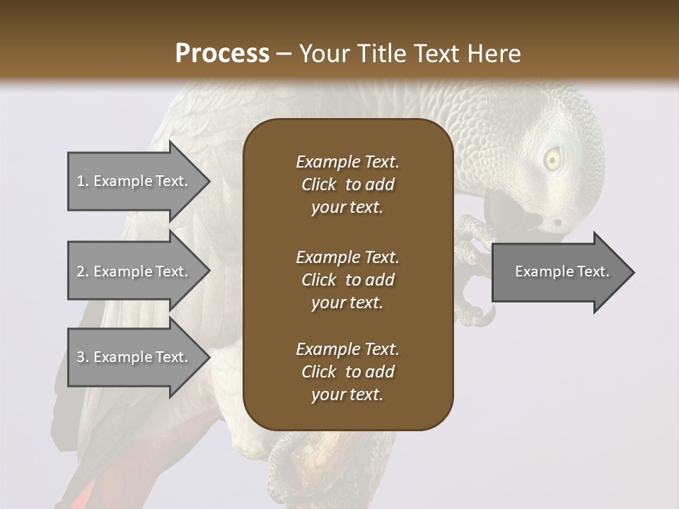 Fluff Mimic Nature PowerPoint Template