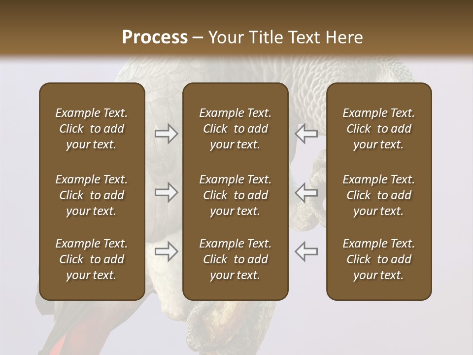 Fluff Mimic Nature PowerPoint Template