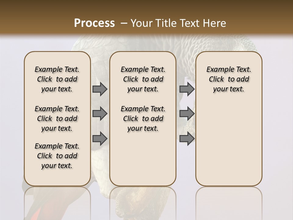 Fluff Mimic Nature PowerPoint Template