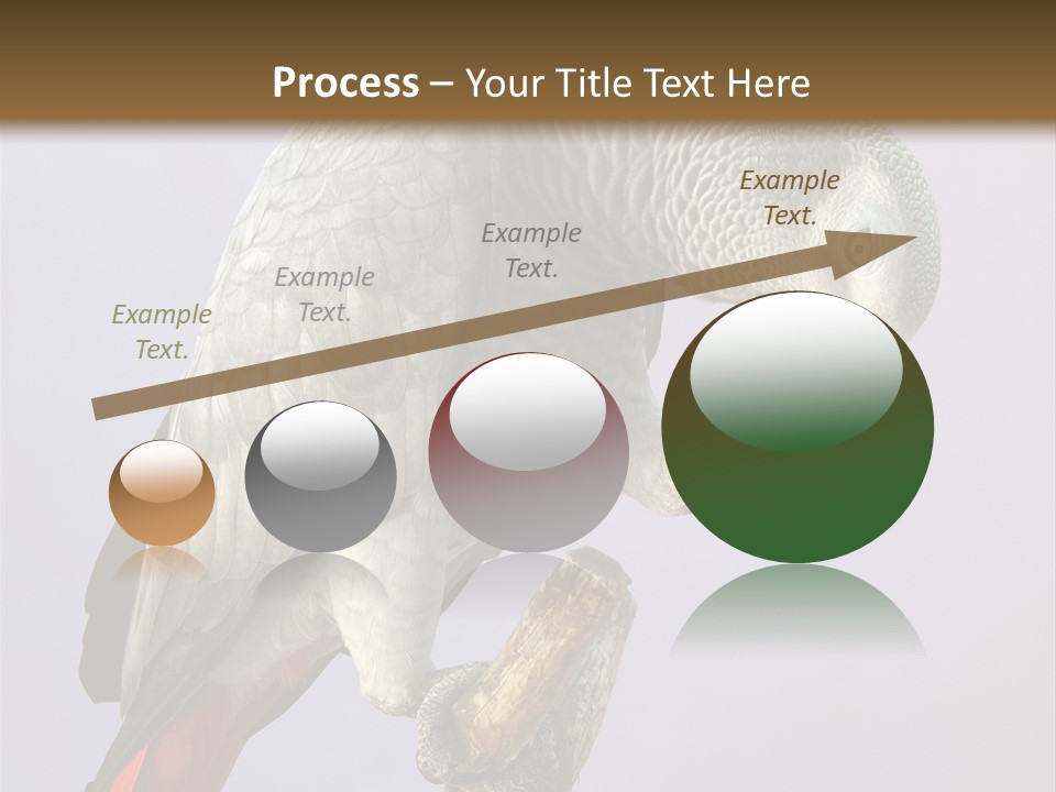 Fluff Mimic Nature PowerPoint Template