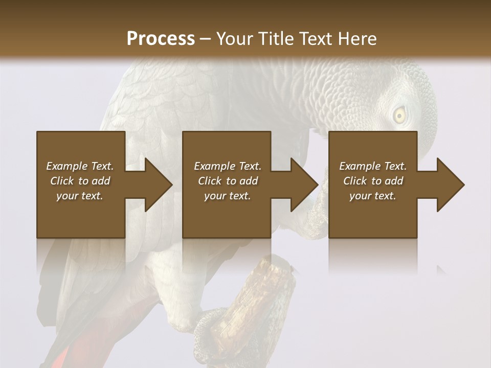 Fluff Mimic Nature PowerPoint Template