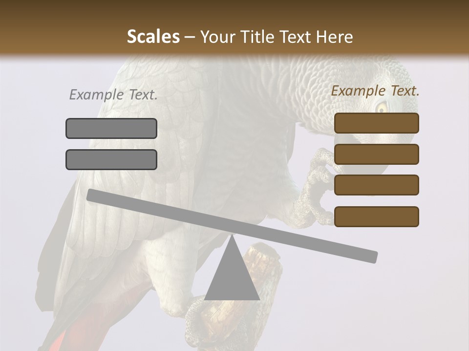 Fluff Mimic Nature PowerPoint Template