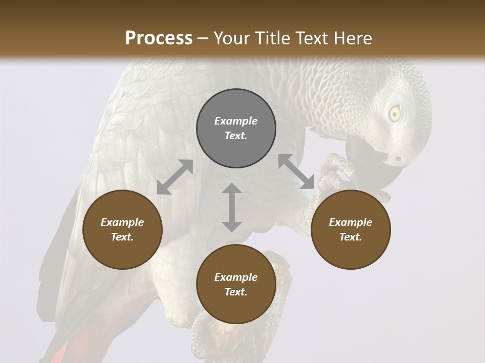 Fluff Mimic Nature PowerPoint Template