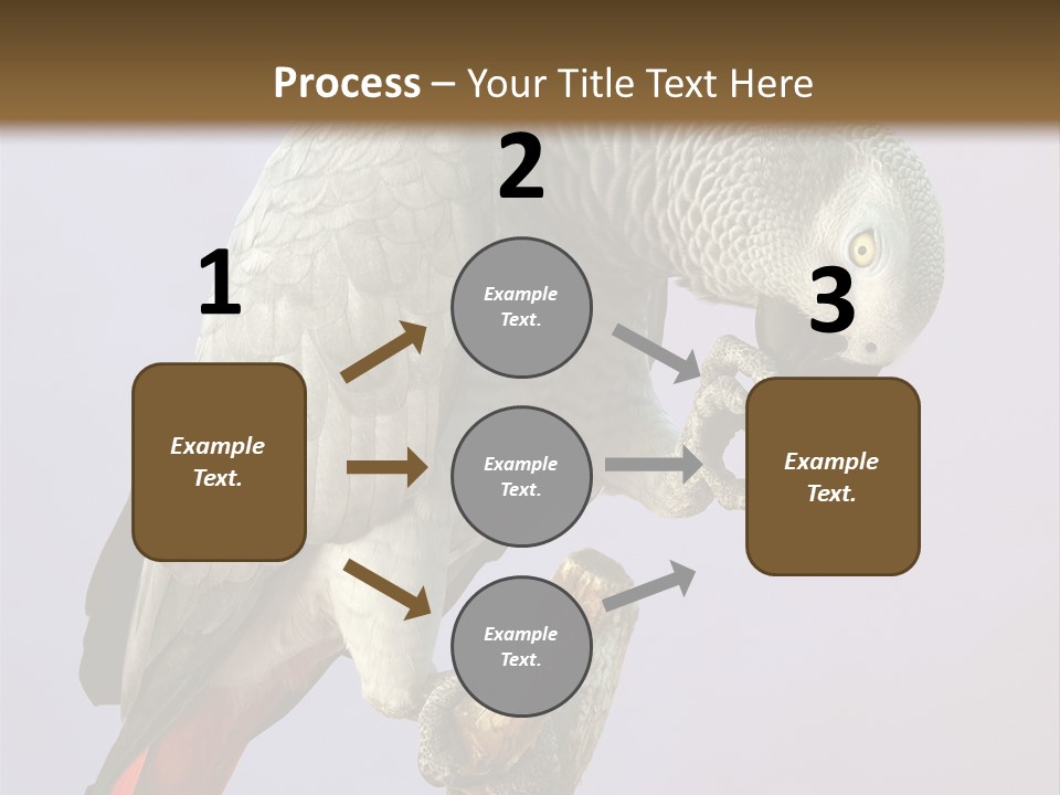 Fluff Mimic Nature PowerPoint Template