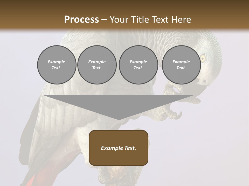 Fluff Mimic Nature PowerPoint Template