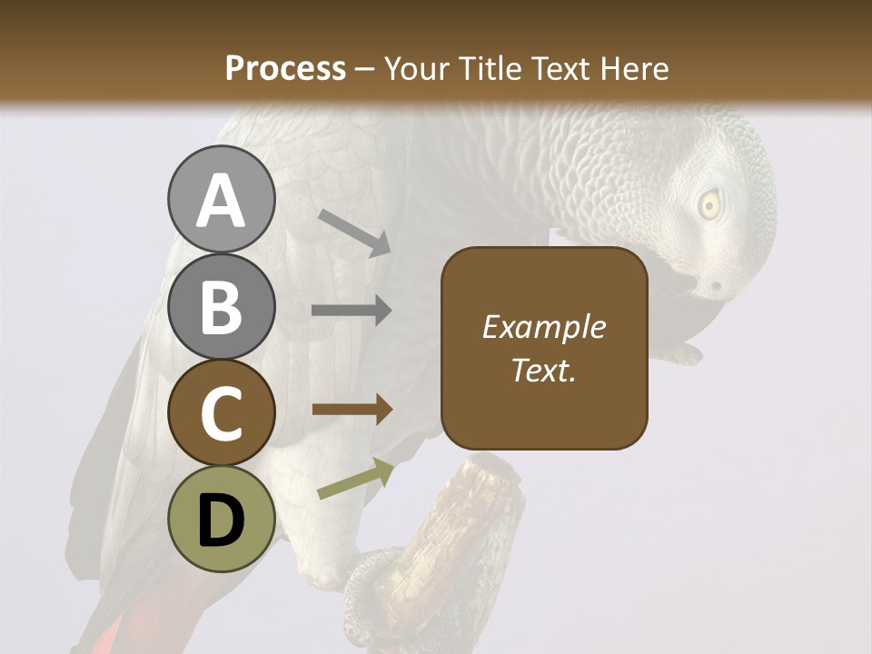 Fluff Mimic Nature PowerPoint Template