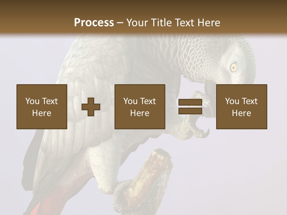 Fluff Mimic Nature PowerPoint Template