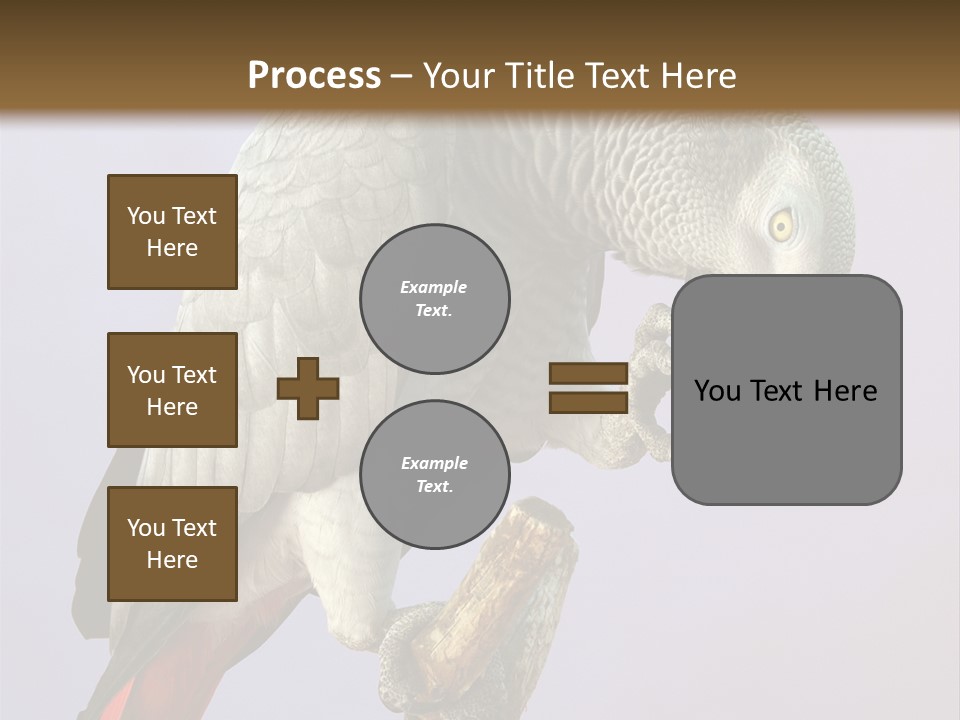 Fluff Mimic Nature PowerPoint Template
