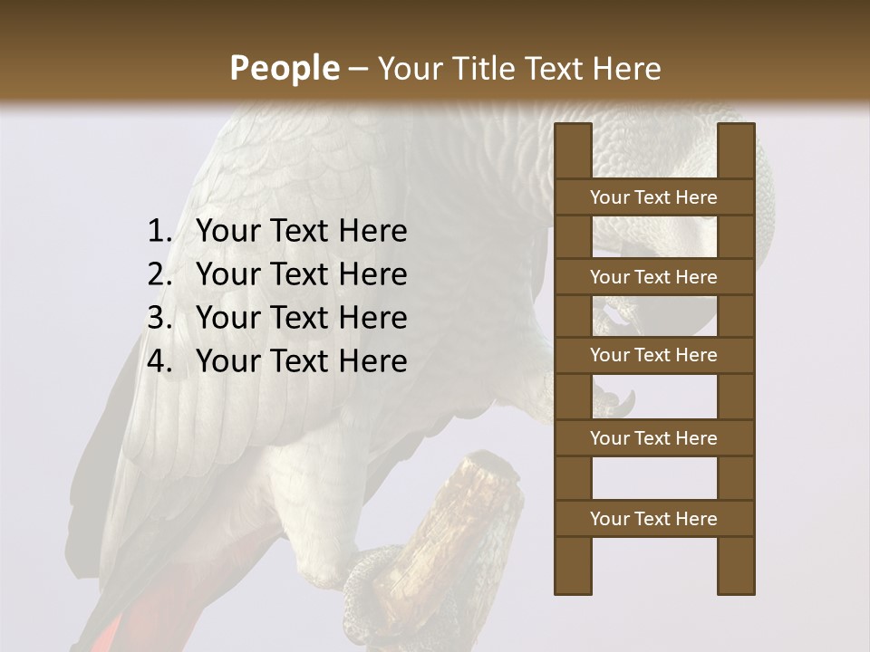 Fluff Mimic Nature PowerPoint Template