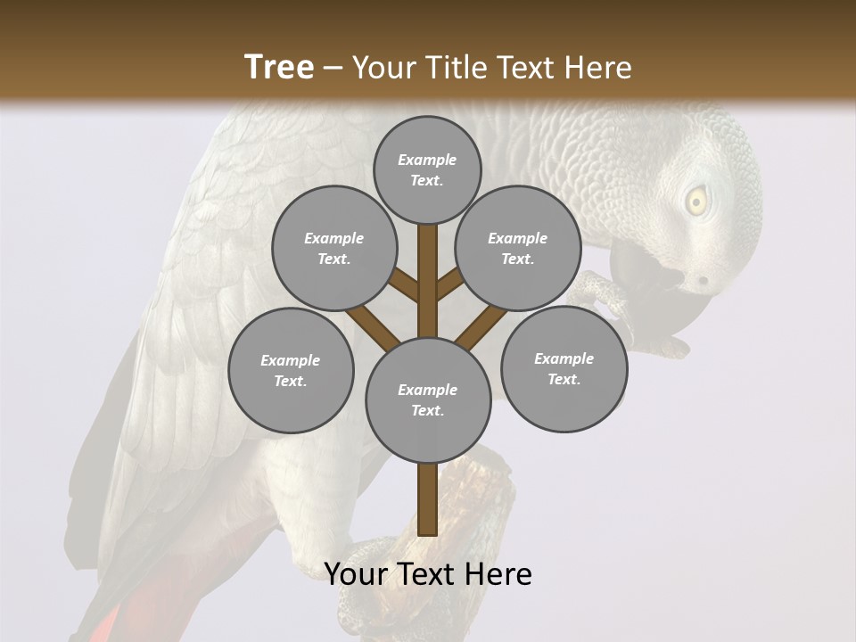 Fluff Mimic Nature PowerPoint Template