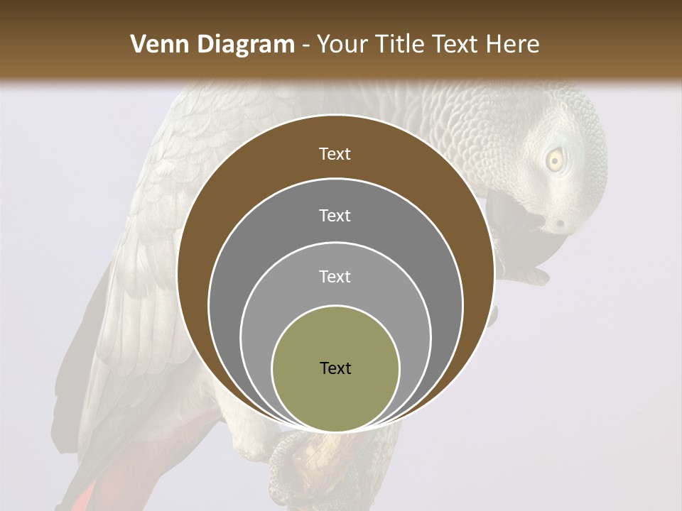 Fluff Mimic Nature PowerPoint Template