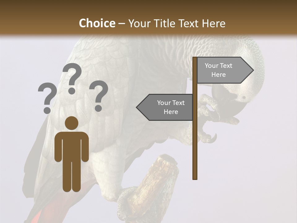Fluff Mimic Nature PowerPoint Template