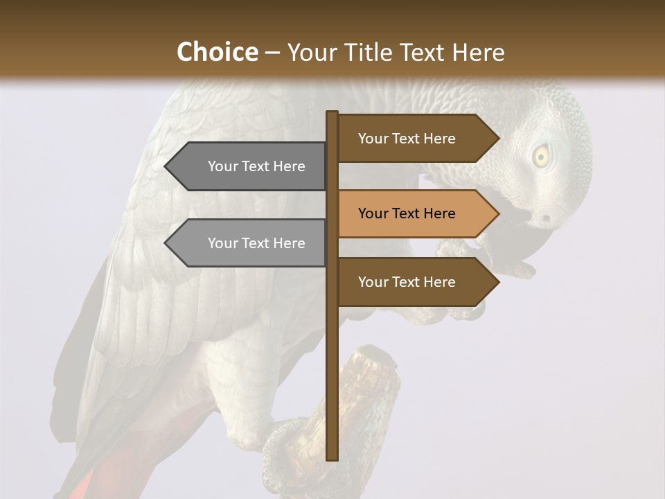Fluff Mimic Nature PowerPoint Template