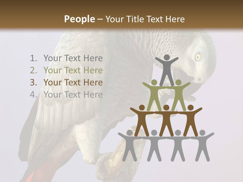 Fluff Mimic Nature PowerPoint Template