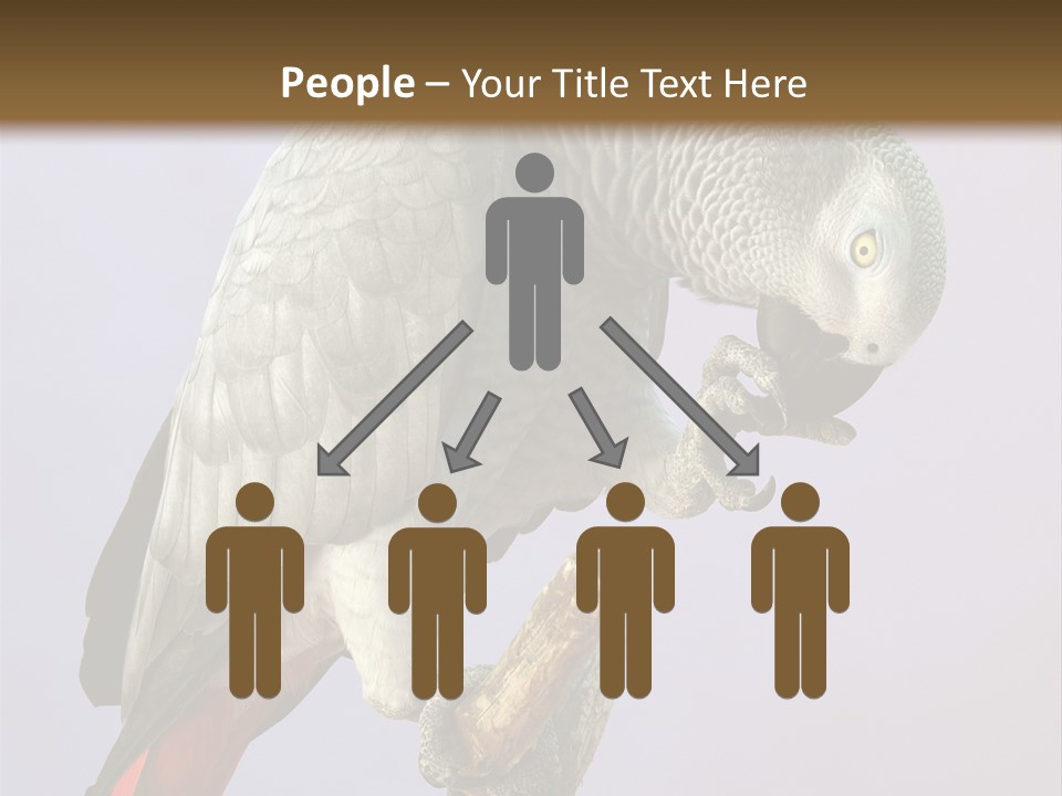 Fluff Mimic Nature PowerPoint Template