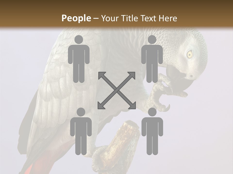 Fluff Mimic Nature PowerPoint Template