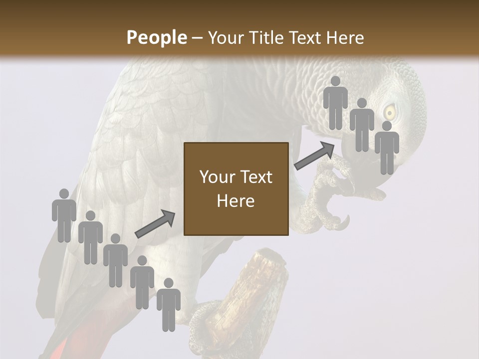 Fluff Mimic Nature PowerPoint Template