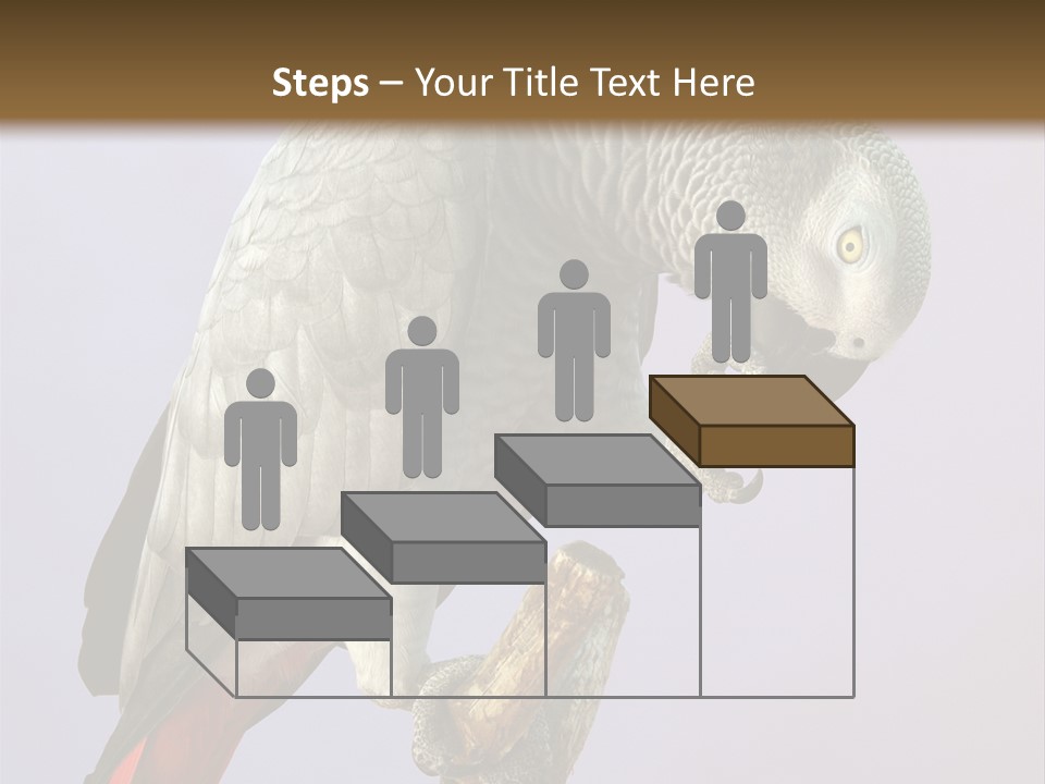 Fluff Mimic Nature PowerPoint Template