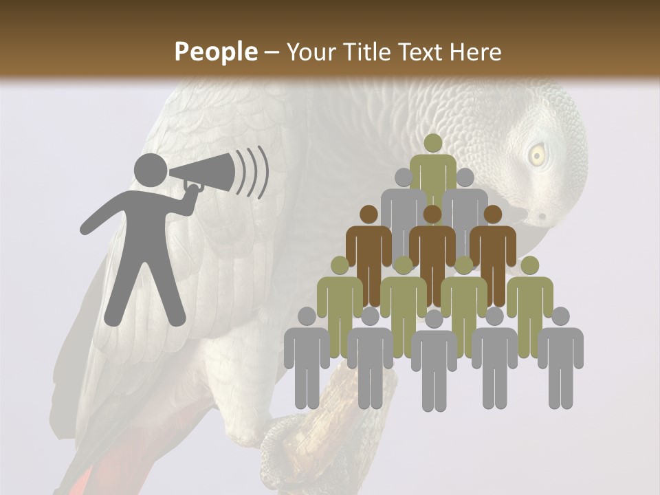 Fluff Mimic Nature PowerPoint Template