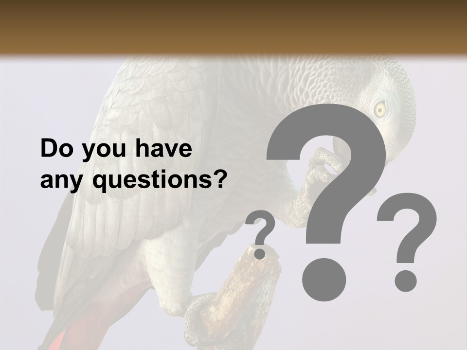 Fluff Mimic Nature PowerPoint Template